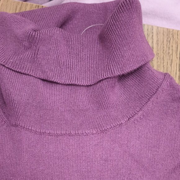 Ann Taylor Size XXL Pink Turtleneck Sweater (NWT) - Picture 7 of 9